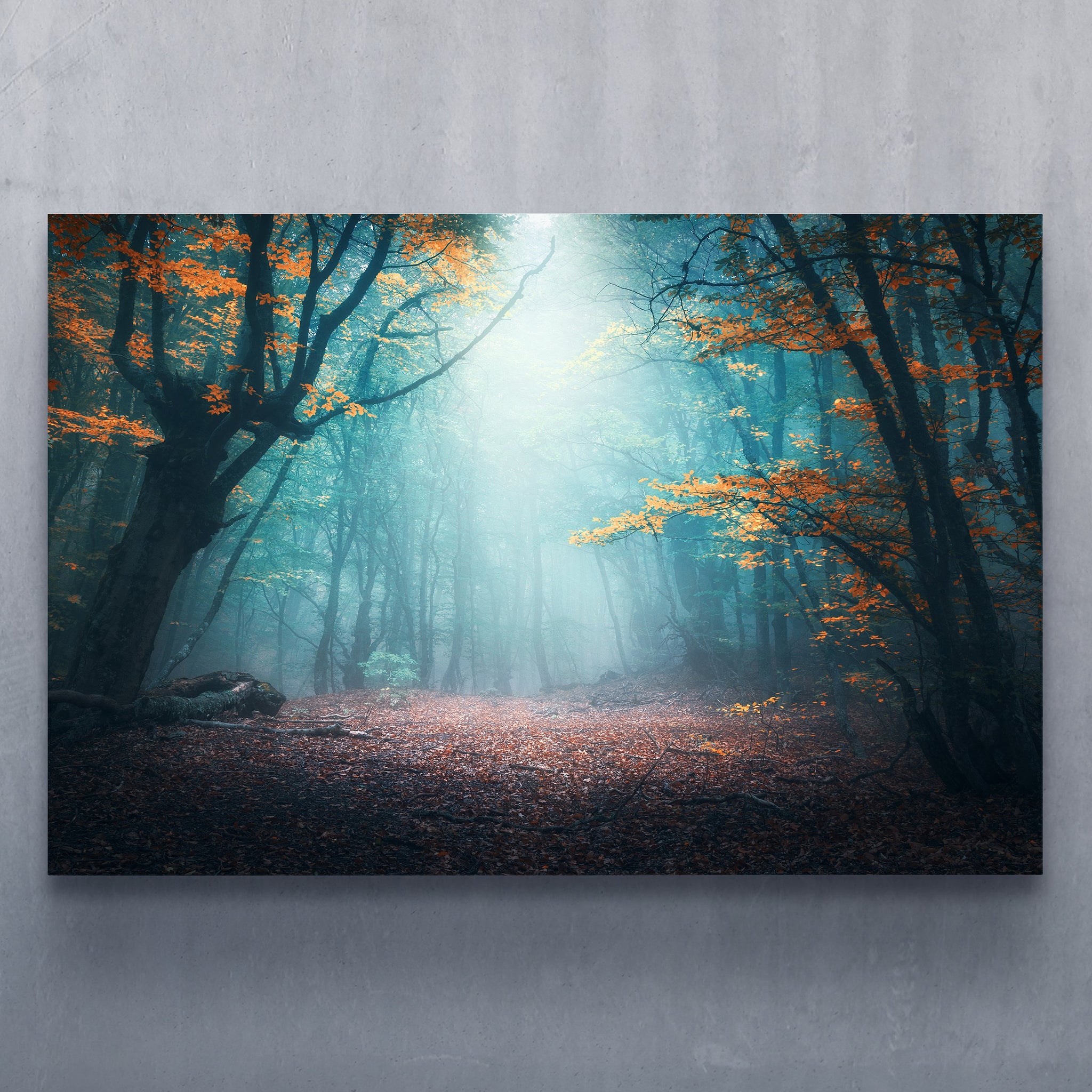 Enchanted Forest