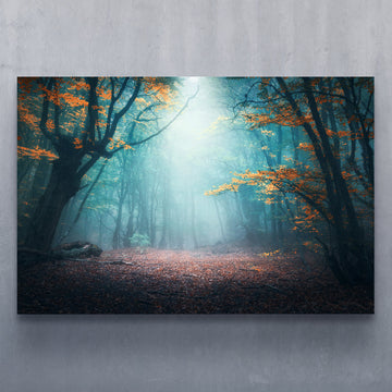 Enchanted Forest