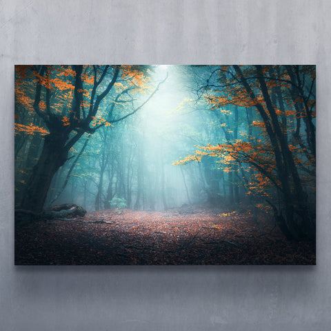 Enchanted Forest