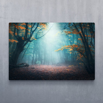 Enchanted Forest