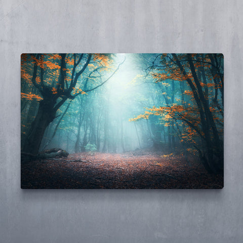 Enchanted Forest