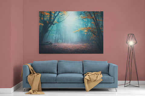 Enchanted Forest