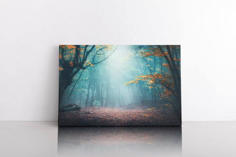 Enchanted Forest