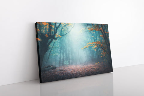 Enchanted Forest
