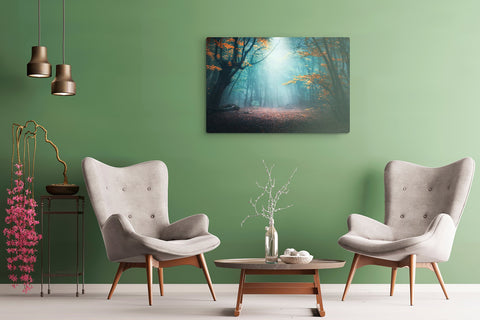 Enchanted Forest