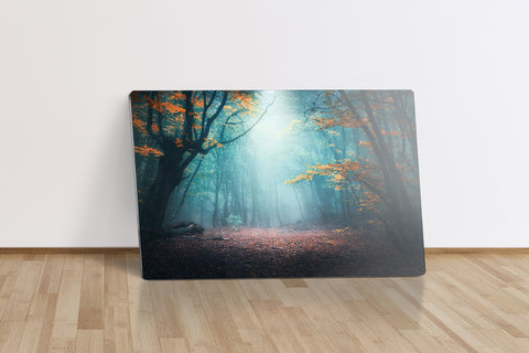 Enchanted Forest