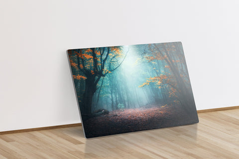 Enchanted Forest