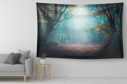 Enchanted Forest