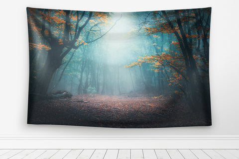 Enchanted Forest