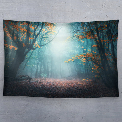 Enchanted Forest