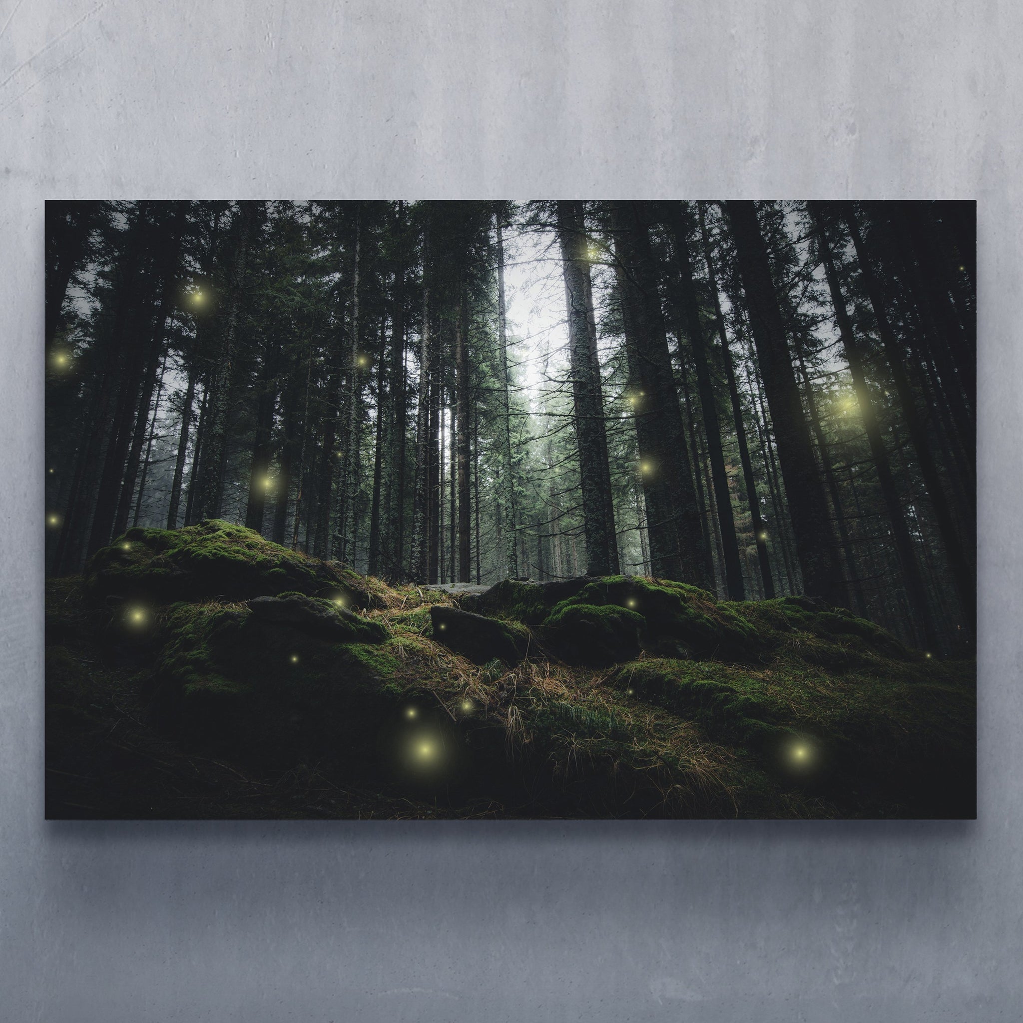 Fireflies