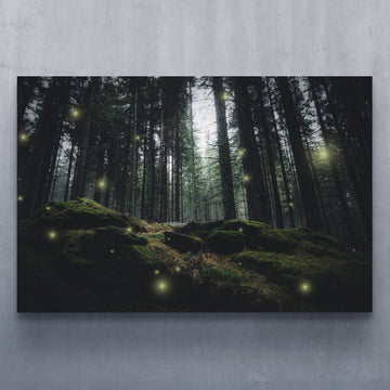 Fireflies