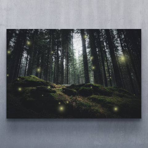 Fireflies