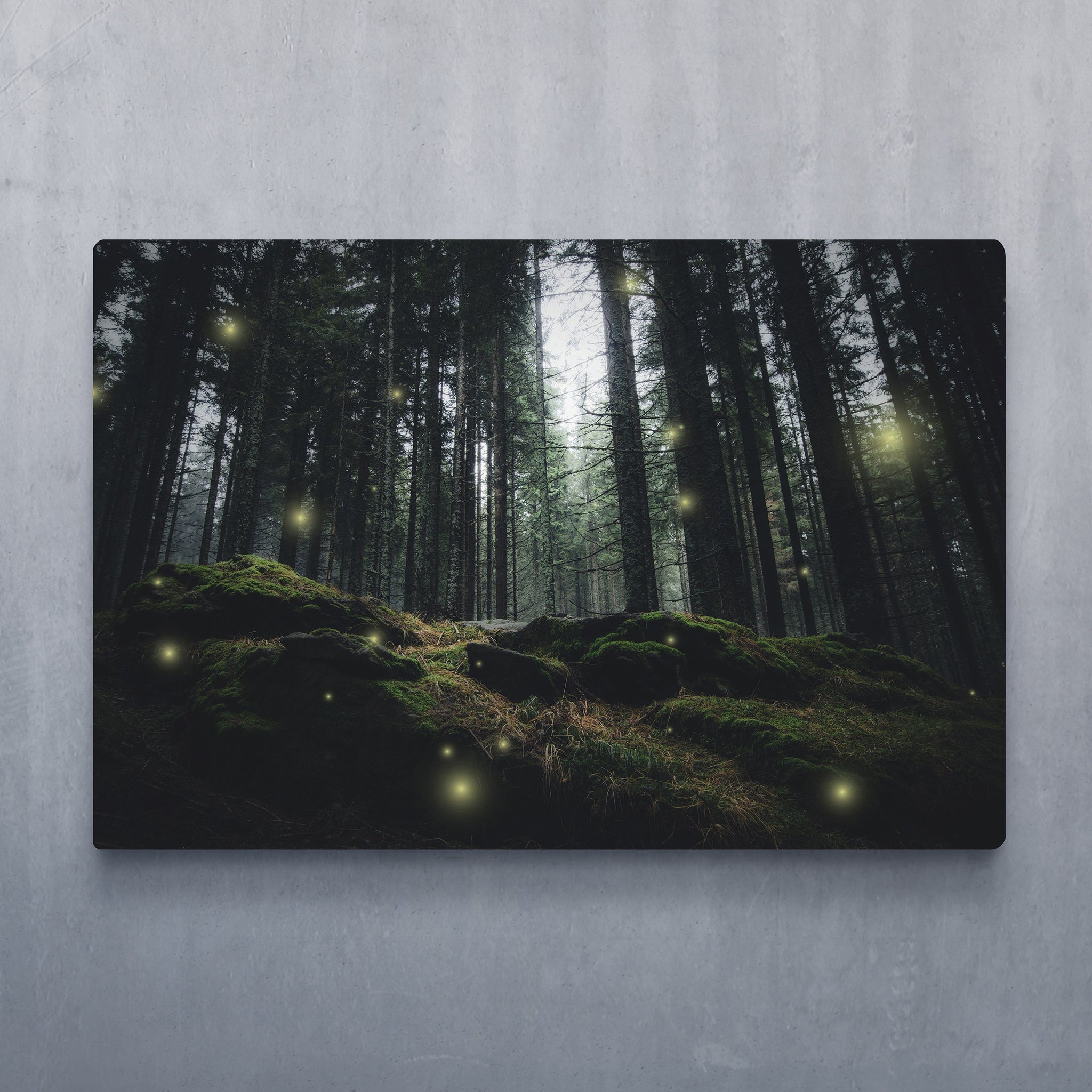 Fireflies