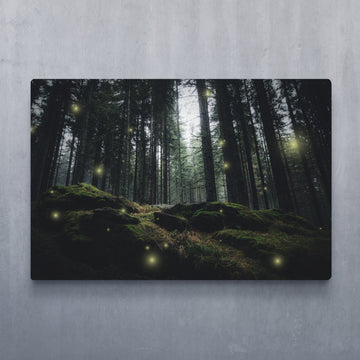 Fireflies