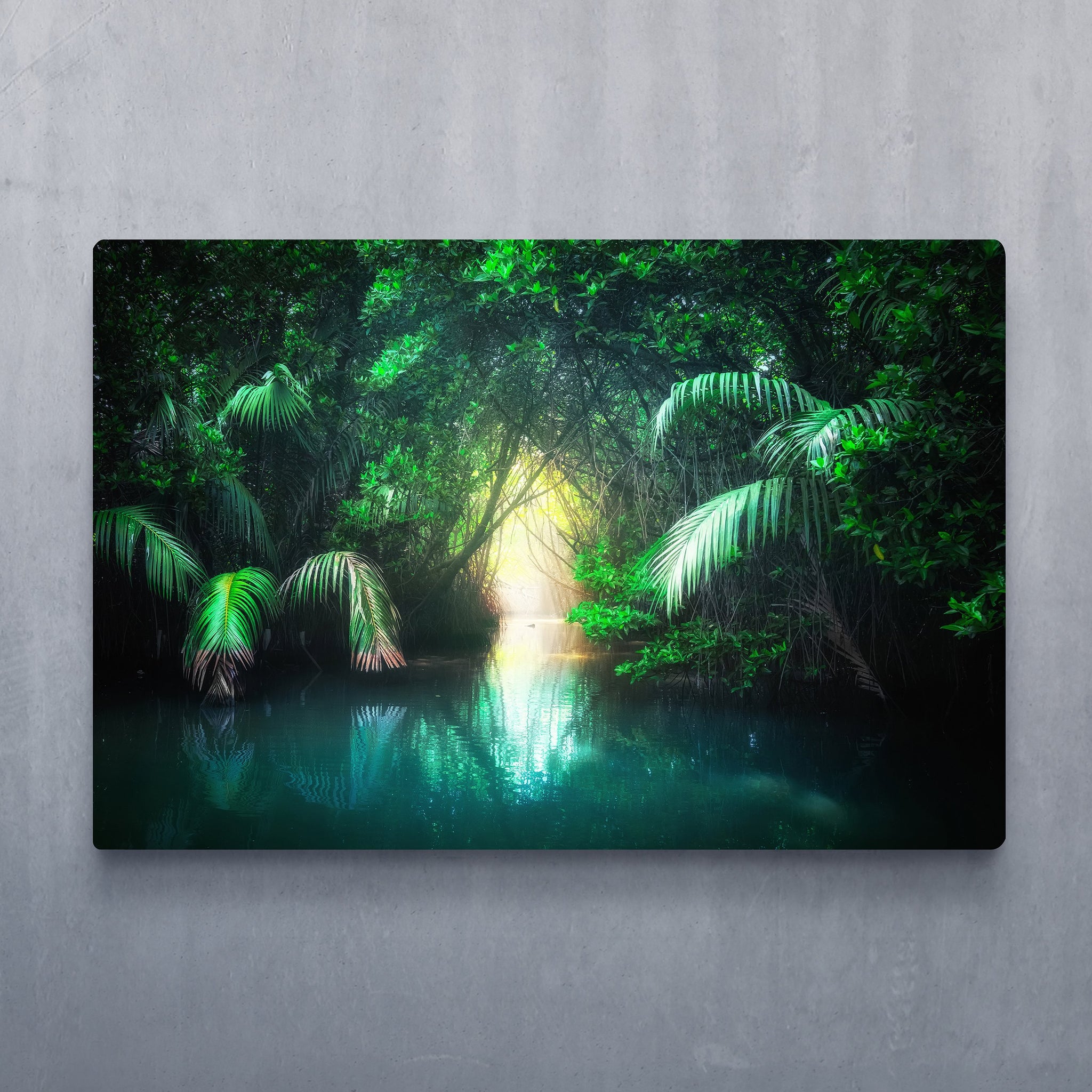 Hidden Jungle