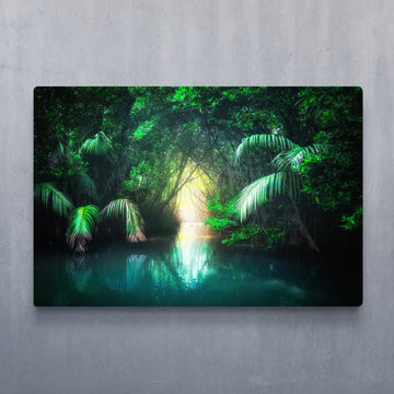 Hidden Jungle