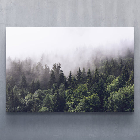 Shrouded Forest