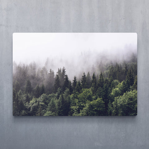 Shrouded Forest