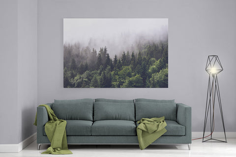 Shrouded Forest