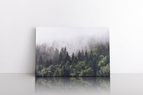 Shrouded Forest