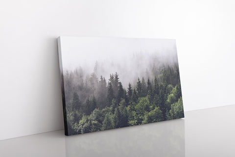 Shrouded Forest