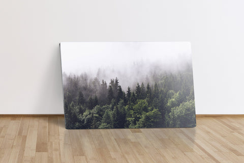 Shrouded Forest