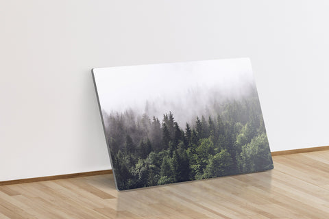 Shrouded Forest
